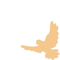 20250905134905_4101 20250905134905_4101